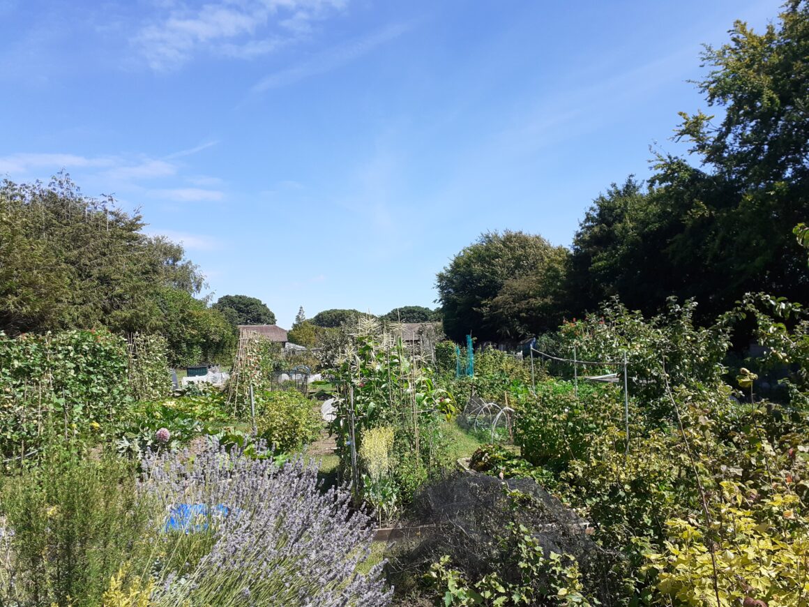 Allotments