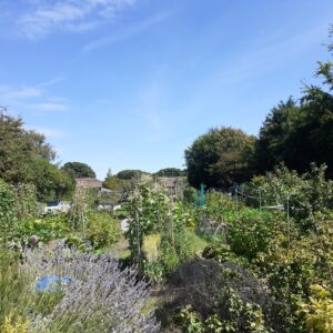 Allotments