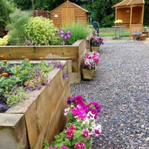 New Milton Dementia Allotment