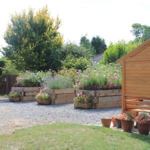 New Milton Dementia Friendly Allotment