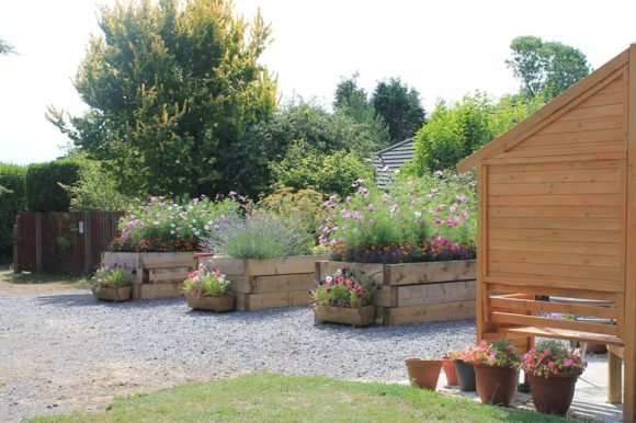 New Milton Dementia Friendly Allotment