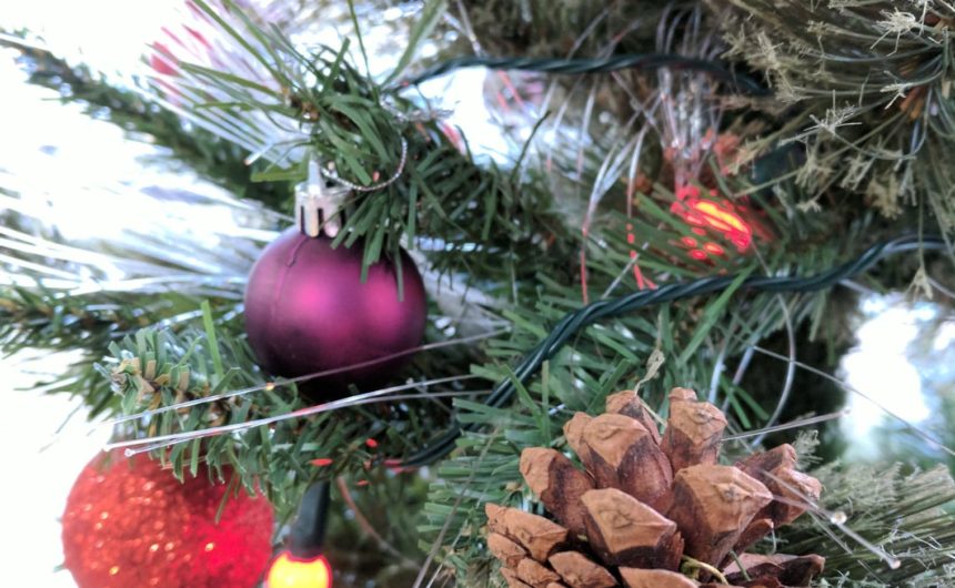 Christmas Tree Recycling Christmas Tree Recycling