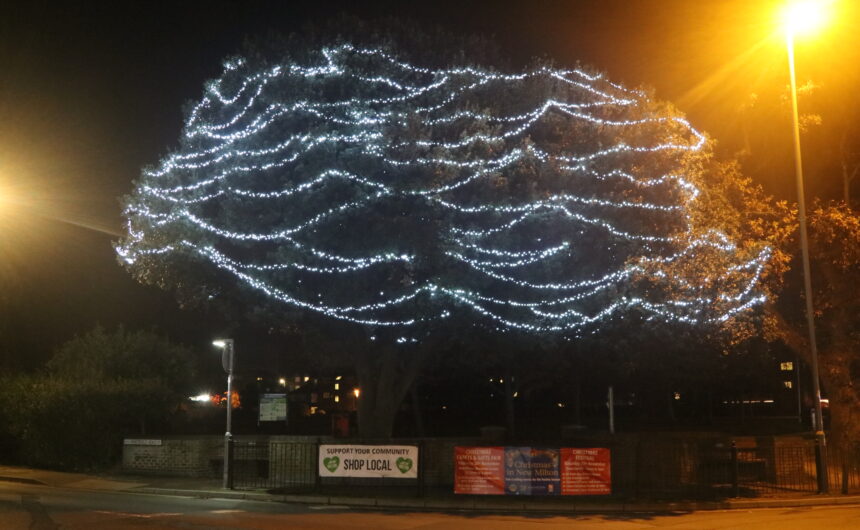 IMG_6600 Festive Lights Sponsors