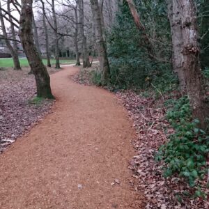 Ashington Park Woodland