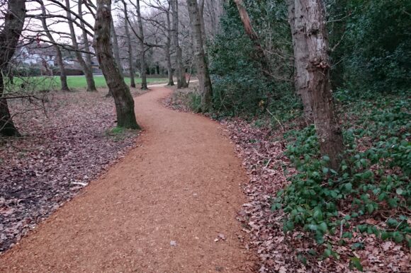 Ashington Park Woodland