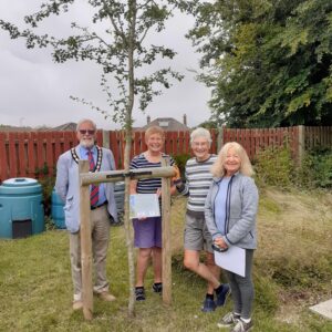 New Milton Dementia Allotment