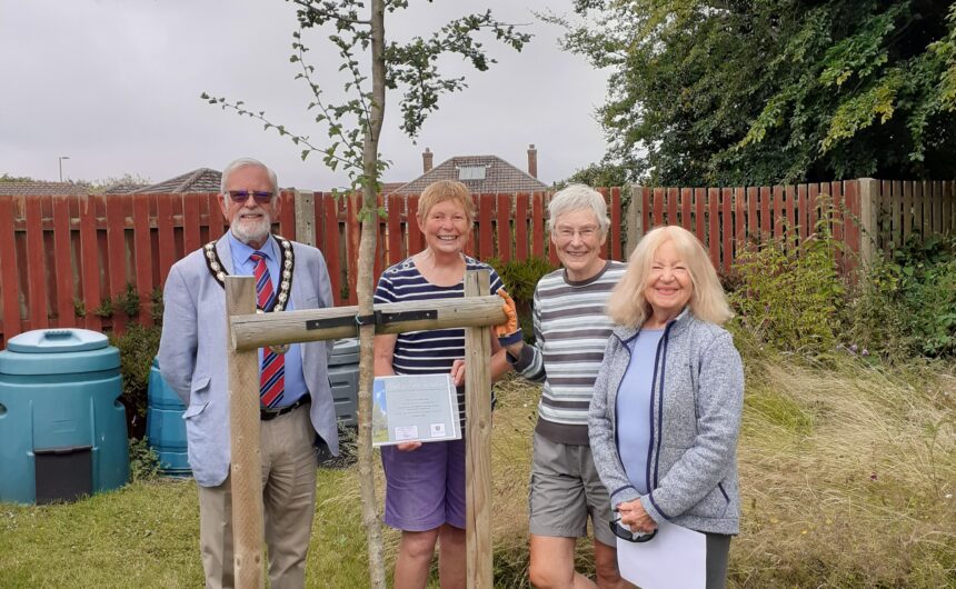 New Milton Dementia Allotment