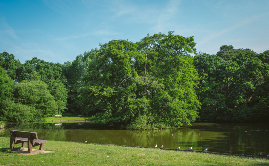 An image of Ballard Lake with trees in the background and grass in the foreground
