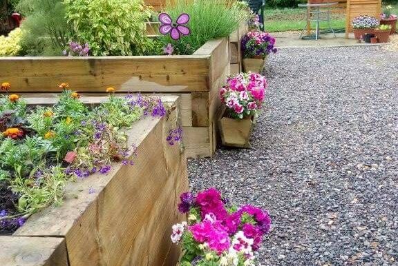 Welcome to the Dementia Allotment