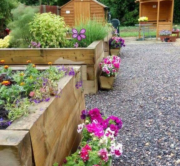 Welcome to the Dementia Allotment