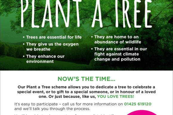 Plant a Tree Initiative