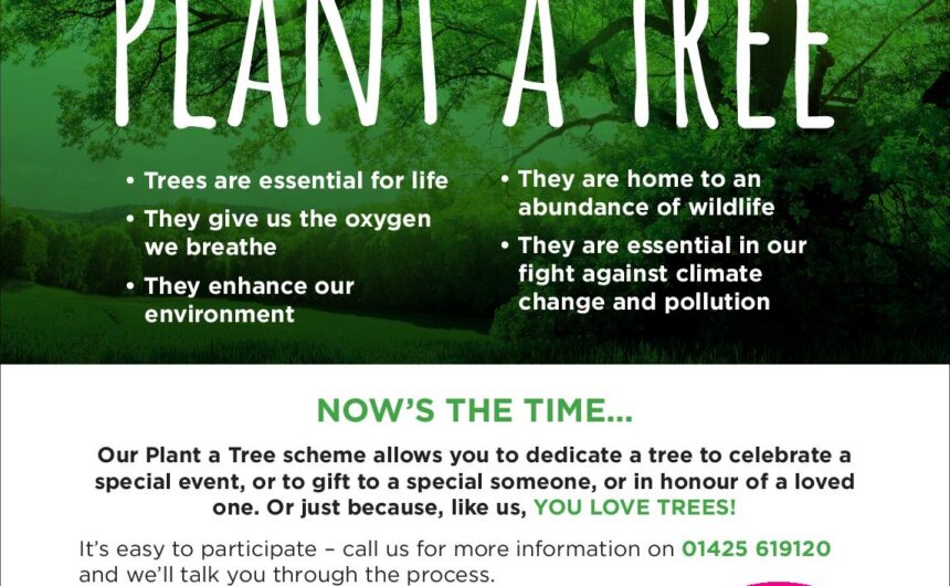 Plant a Tree Initiative