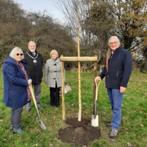 Celebrating National Tree Week