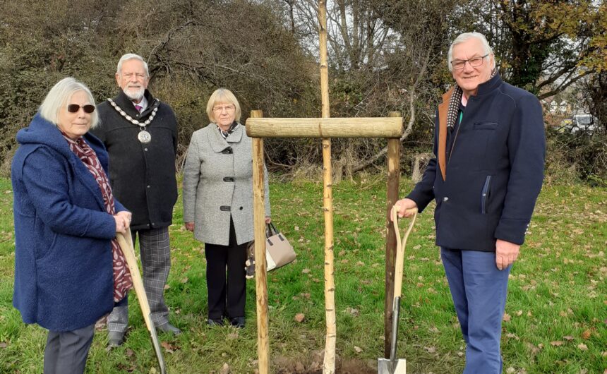 Celebrating National Tree Week