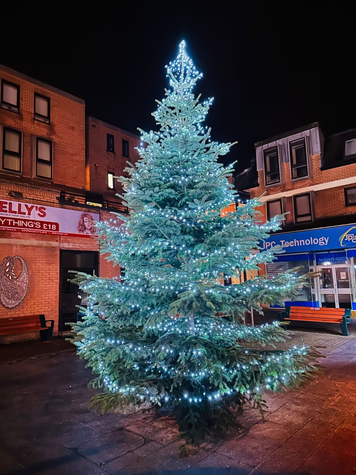 Recycling your Christmas Tree