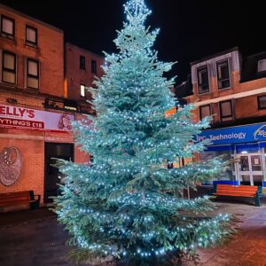 Recycling your Christmas Tree