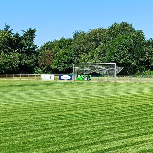 Green grass on the Wessex Pitch