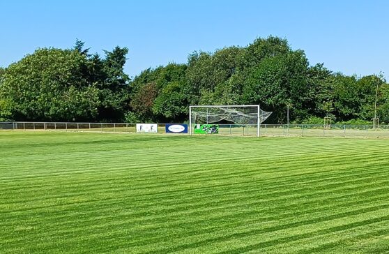 Green grass on the Wessex Pitch