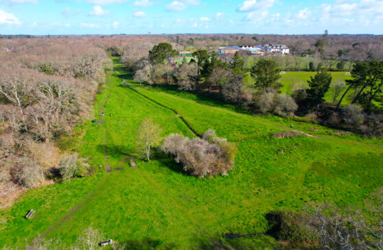 Drone view of the green Ballard Water Meadow