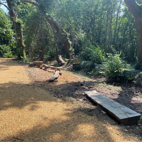 Pathway through Carrick Way woodland