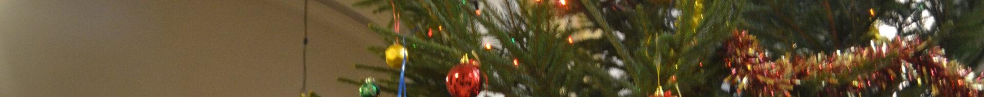 New milton carol service christmas tree
