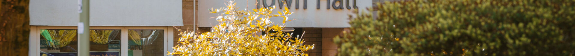 New Milton autumn tree in front of the town hall sign