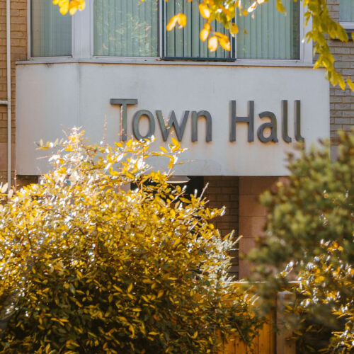 New Milton autumn tree in front of the town hall sign