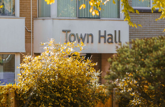 New Milton autumn tree in front of the town hall sign