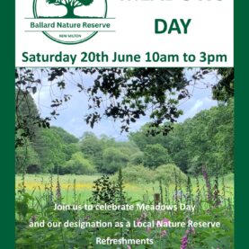 Ballard Nature Reserve Meadow Day